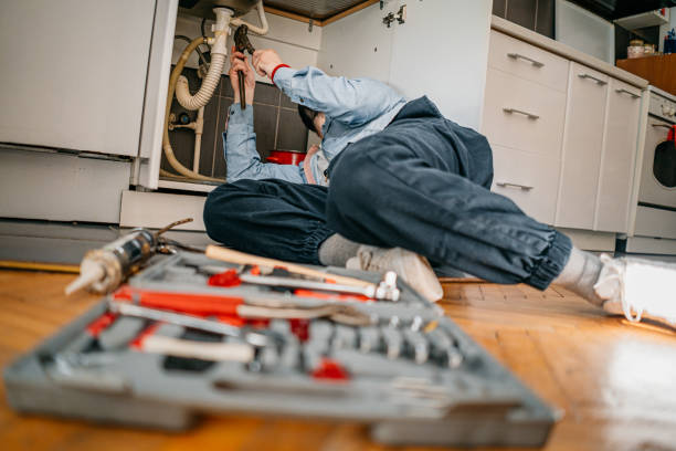 Best Toilet Repair Services  in Lenoir City, TN