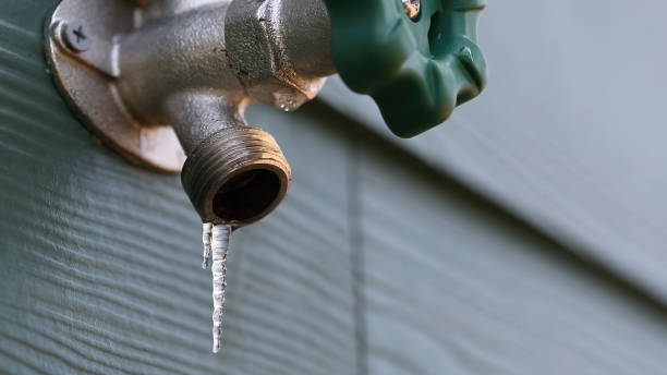 Best Commercial Plumbing Services  in Lenoir City, TN