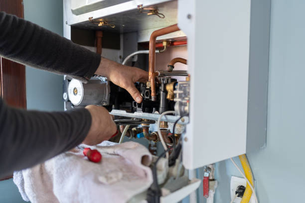 Best Plumbing Inspection Services  in Lenoir City, TN